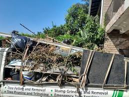 Professional Junk Removal Services in Lemay, MO